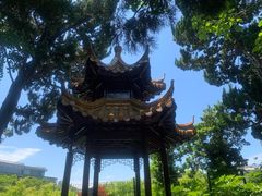 -嘉定紫藤园