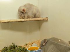 -龙猫仔乐园(惠福东路店)