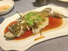 -三利音·浦之舟(滨江大道店)