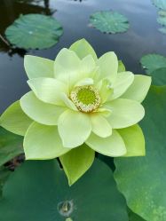 -Oasis Beauty水磨坊科技美肤中心