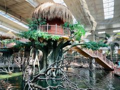 -南宫五洲植物乐园