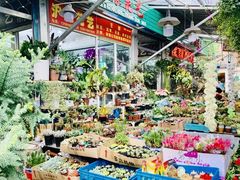 -曲阳花鸟市场(曲阳路店)