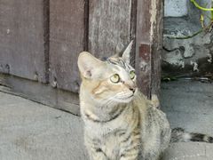 -圣佩德罗堡