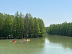 -上海海湾国家森林公园