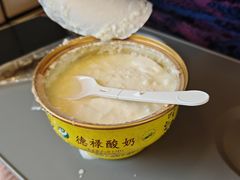 -德禄酸奶(莫家街店)