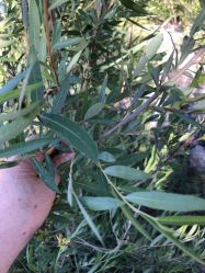 -FineYoga梵音瑜伽·普拉提