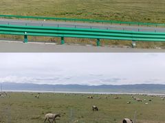 -青海湖国家重点风景名胜区