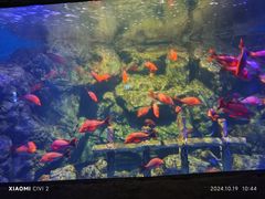 -南昌融创海世界
