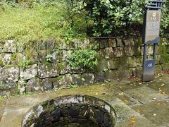 -溪口商量岗景区