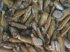 -和源祥·日照菜扛把子(万平口一店)