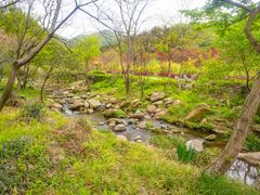 -武汉姚家山旅游景区