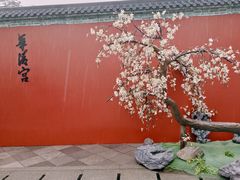 -华清宫景区