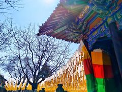 -护国法轮寺