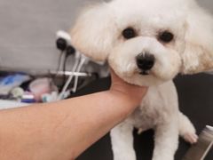 -宠福鑫康馨动物医院·骨科·眼科