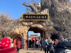 -大槐树寻根祭祖园