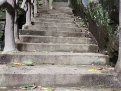 -藏龙百瀑风景区