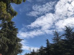 -丽江三义国际机场