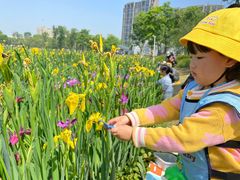 -英伦凯贝国际婴幼儿托育中心(雍湖湾店)