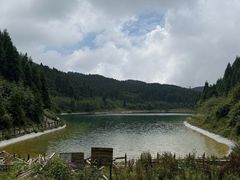 -武陵山森林公园