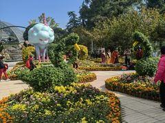 -南山植物园