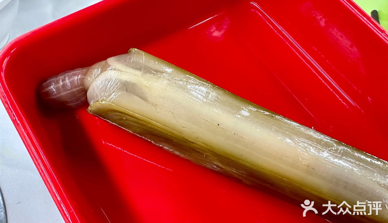 李女士又来她的食堂吃饭啦