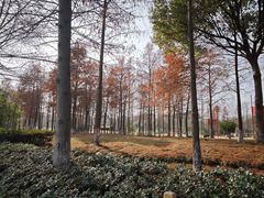 -西溪国家湿地公园