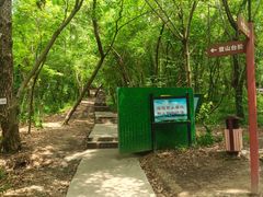 -大蜀山国家森林公园