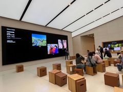-Apple零售店(苏州店)