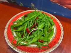 -菌之家·专业纯野生菌火锅·特色炒菌
