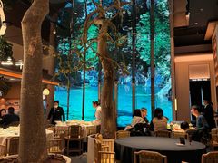 -桂满陇·海市蜃楼·黑金(国金店)