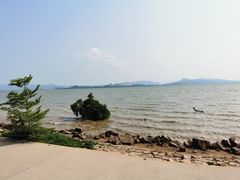 -深圳湾公园(南山区)
