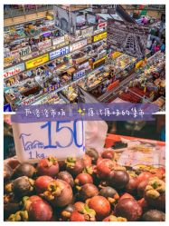 -汉石桥湿地童趣乐园