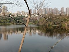 -重庆彩云湖湿地公园