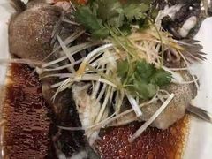 -新天世纪中餐厅