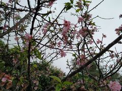 -邹记·美食(斗门店)