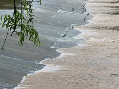 -西安浐灞国家湿地公园