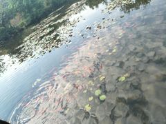 -白马涧龙池景区