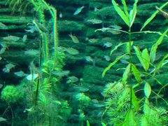 -上海海洋水族馆