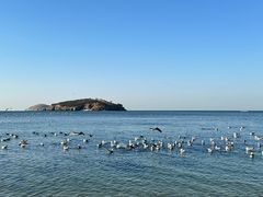 -银沙滩浴场