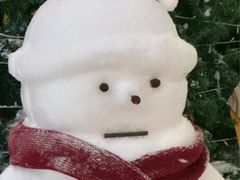 -广州热雪奇迹