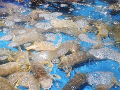 -徐记海鲜(大雁塔|金都店)