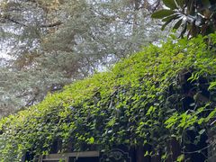 -寻龙山风景旅游区