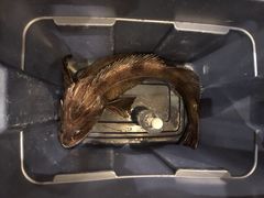 -春秋火锅
