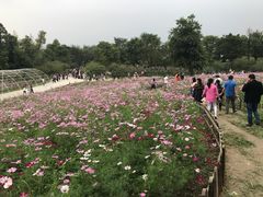 -秀丽东方