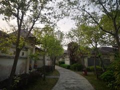 -河源御临门度假村温泉