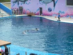 -北戴河圣蓝海洋公园