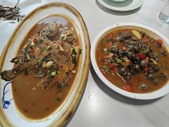 -全乐鱼馆·淳牌有机鱼直营店
