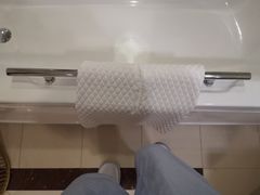 -重庆长寿碧桂园凤悦凤凰酒店