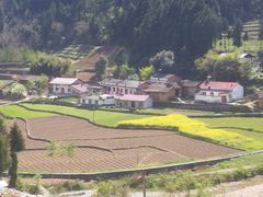 -后柳水乡