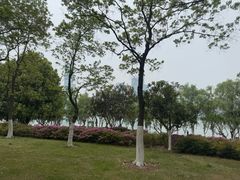 -天鹅湖体育公园